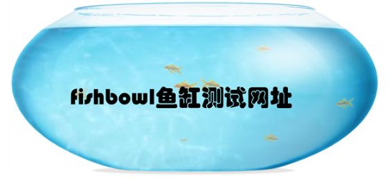 html5鱼缸网站  	HTML5fishbowl鱼缸测试 [多图]图片1