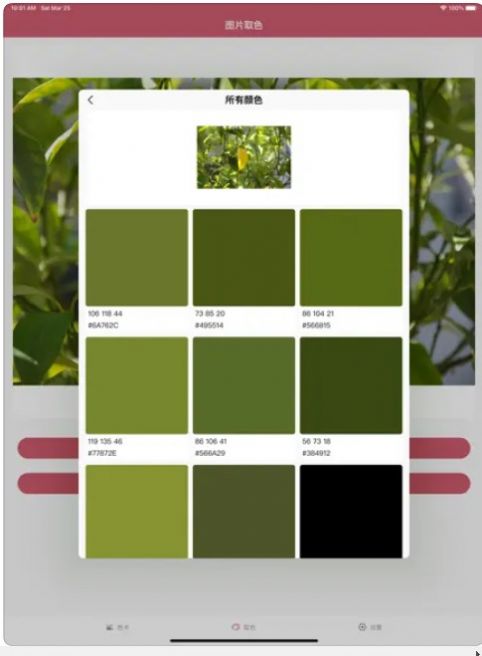 多彩色卡配色ios图1