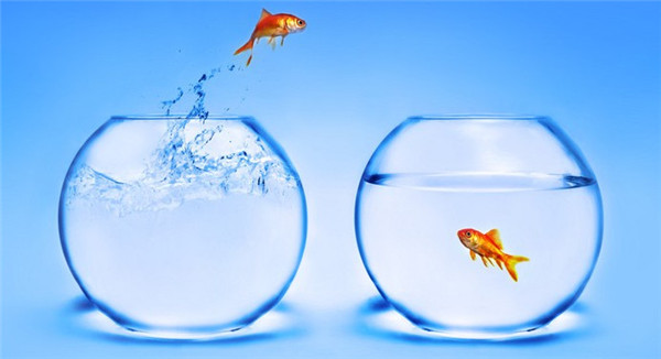 fishbowl测试打不开怎么回事  苹果/安卓fishbowl鱼缸测试网址打不开解决办法[多图]
