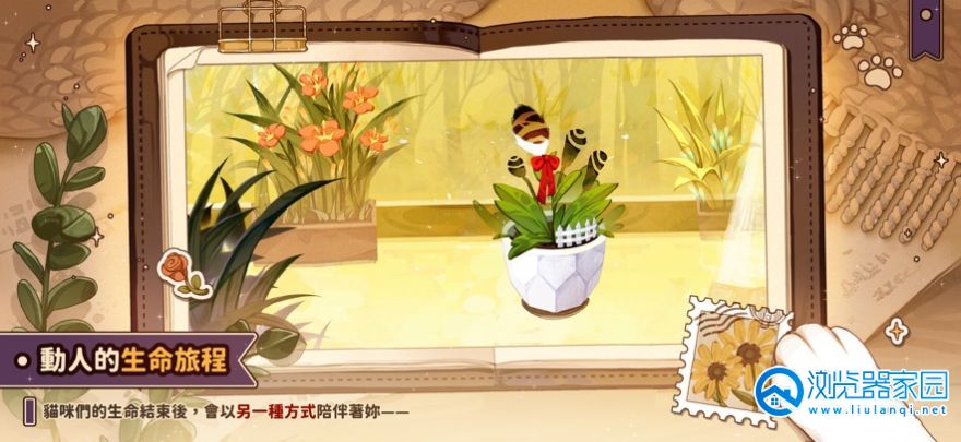 猫逝合集大全-猫逝app免费下载-猫逝手游官方版