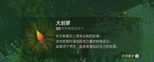 王国之泪大剑草在哪刷  塞尔达大剑草收集攻略图片1