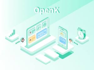 OpenK课堂app手机版图片1