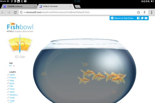 FISHBOWL性能测试入口   2023苹果14pro HTML5鱼缸测试 [多图]