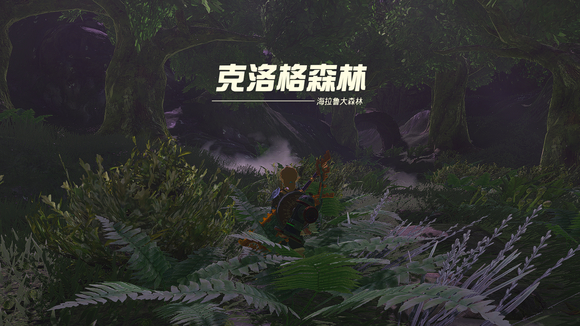 王国之泪迷途森林怎么走   迷途森林走法攻略[多图]