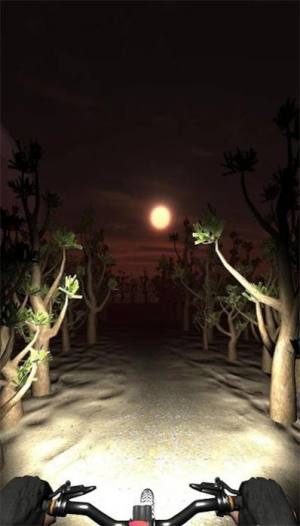 夜骑模拟器游戏图3