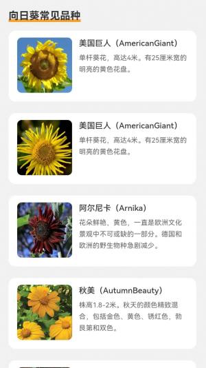 向阳流量app图3