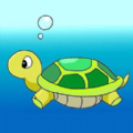 海龟乐园游戏