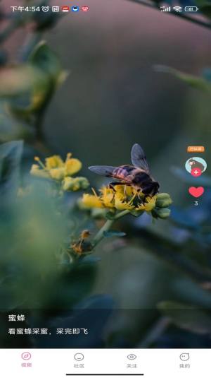 联逗视频社交app手机版图片1