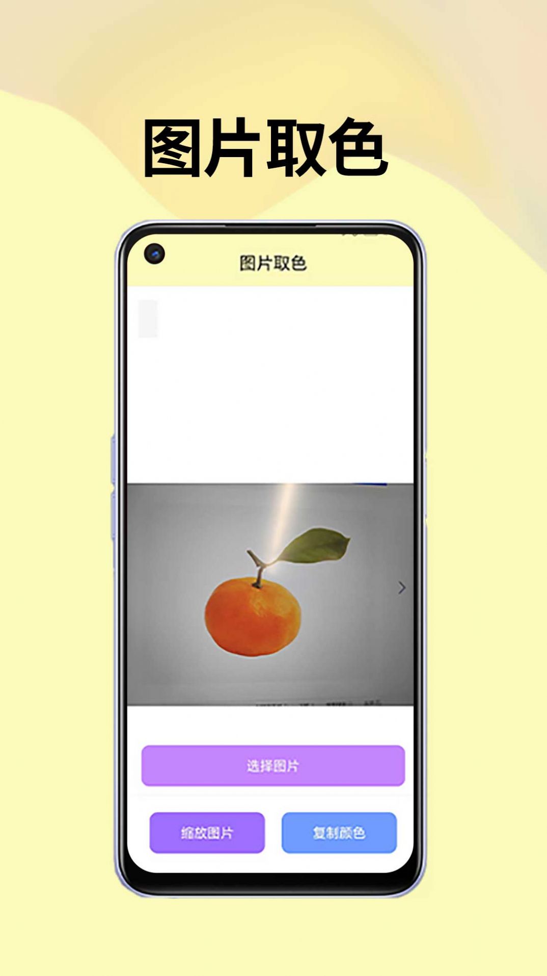 皮皮袋app图1