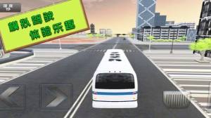 旅游驾驶模拟游戏图2