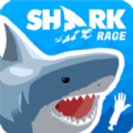 鲨鱼大猎杀游戏官方版 v1.0