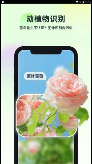 智能识万物app官方版图片2