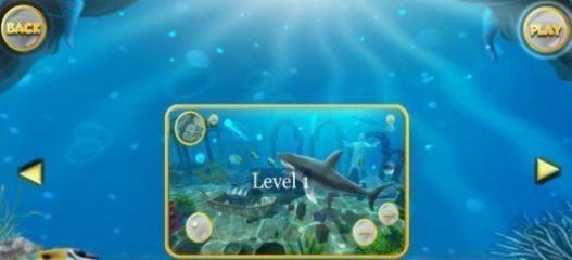深海大白鲨游戏图3