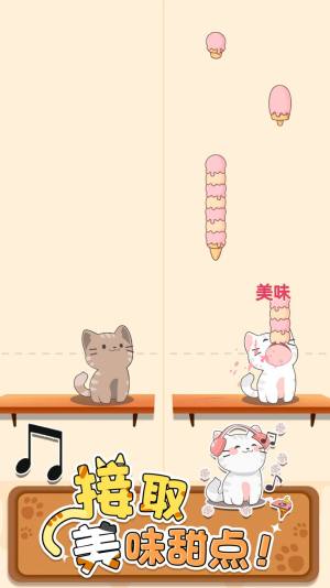 口袋猫咪解压二重奏游戏安卓版图片2