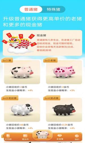 一起嗨养猪场游戏红包版图片1