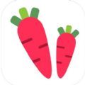 萝卜公考app官方 1.0