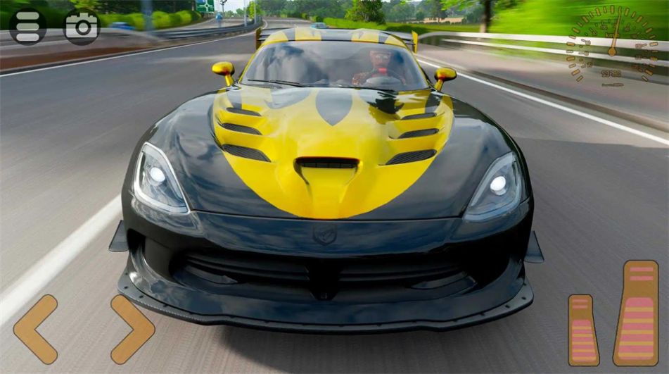 道奇蝰蛇GT驾驶模拟器游戏图3
