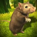 梦幻冒险动物之旅游戏安卓版 v1.0