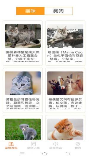 宠物多多宠物服务app官方版图片1