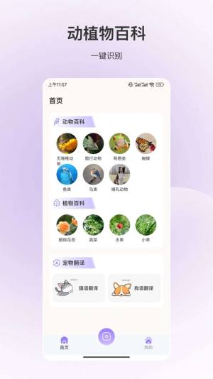 动物识别app官方下载软件图片1