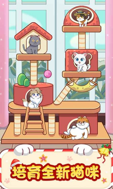 猫咪房东游戏官方最新版图片1