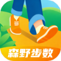 森野步数app手机版 v2.0.1