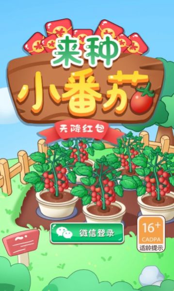 来种小番茄红包版图1