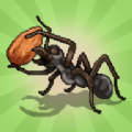 口袋蚂蚁殖民地模拟器游戏手机版下载 v0.0824