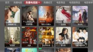 火炬TV Max app图3