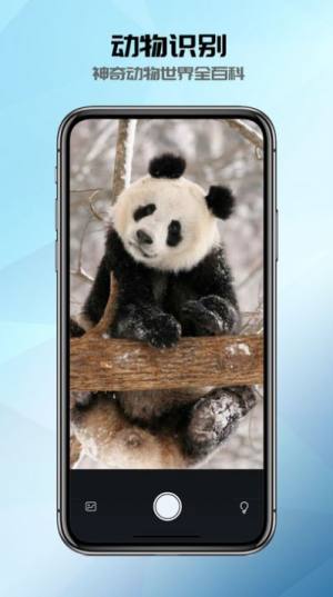 全能识别器app手机版图片1