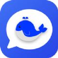 鲸宝即时通讯app软件 v1.0.0