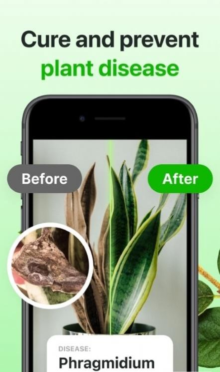 Florae植物养护app官方版图片1