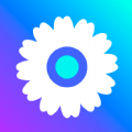 混沌小工菊app软件 v1.0.0