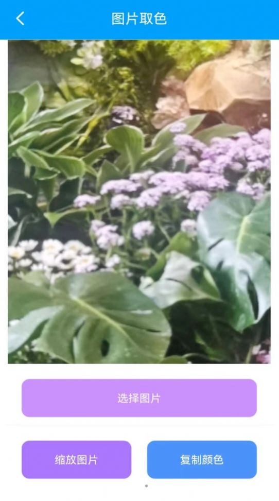 栋剧工具箱app手机版图片1