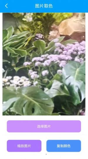 栋剧工具箱app手机版图片1