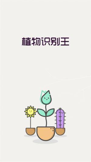 植物识别王app图3