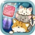 方块消除可爱的炸弹猫游戏官方中文版 1.0