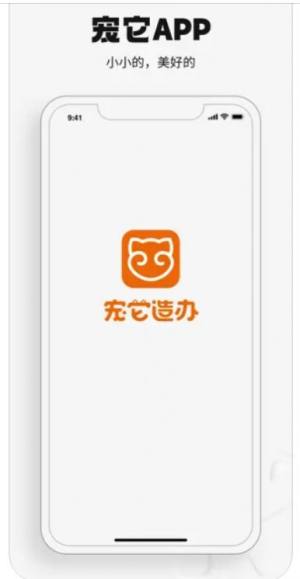 宠它造办app图1