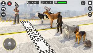 动物GT特技比赛模拟器官方下载手机版图片1