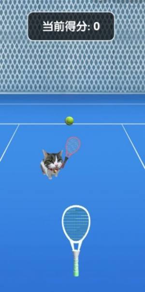 猫咪网球游戏图2
