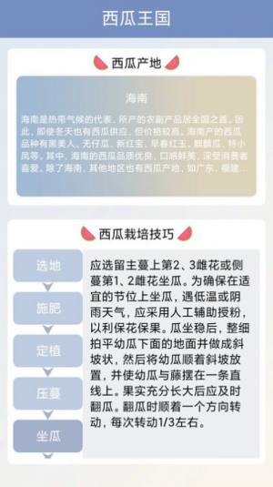 西瓜王国app手机版图片1