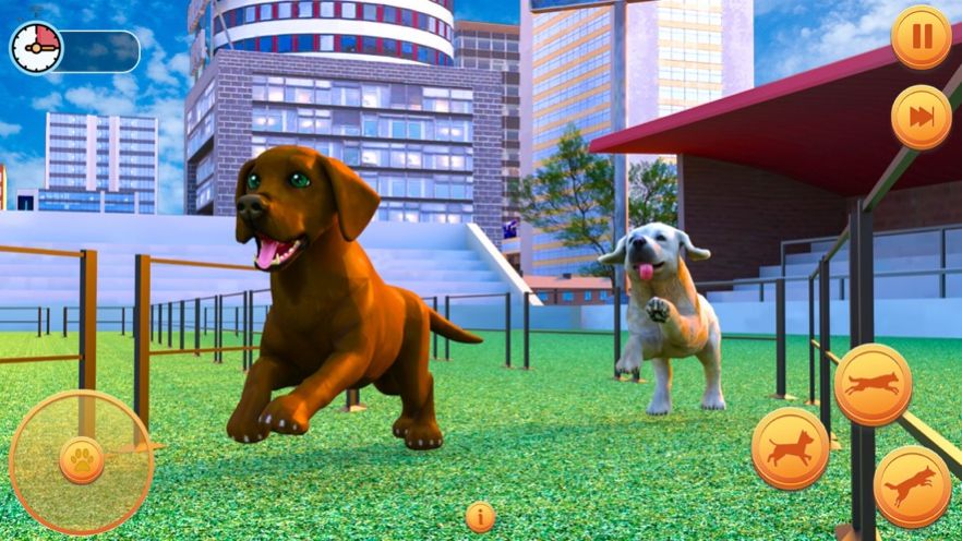 怀孕的宠物狗模拟器3d游戏图3
