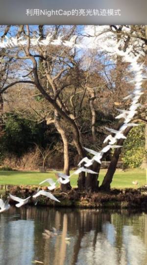 nightcap相机下载iOS苹果版图片3