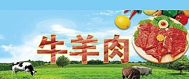 ��������app�ϼ�