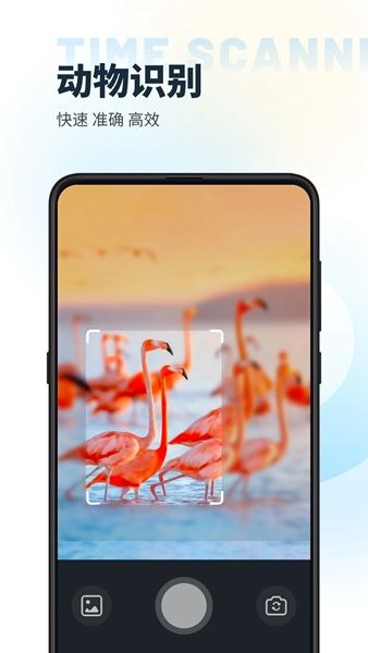 时间扫描app图3