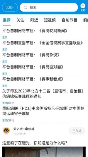 鸽网通app官方版图片1