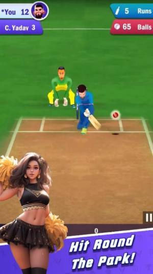 板球游戏真正的亚洲杯游戏官方版下载图片1