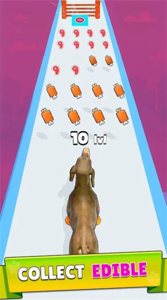 狗狗进化跑酷安卓版图1