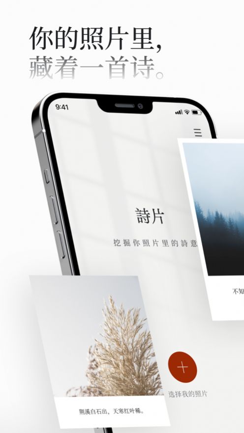 诗片AI给照片匹配诗句app手机版图片3