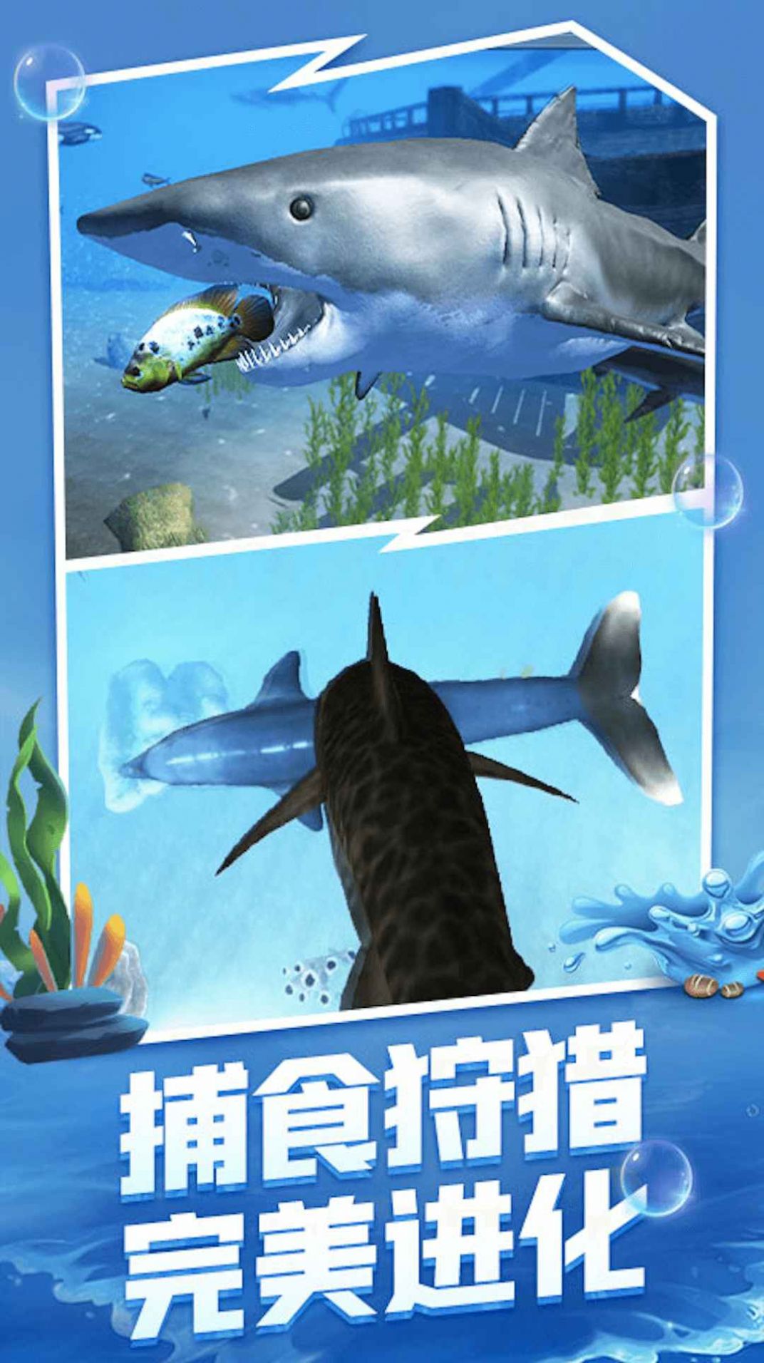 海洋大猎杀2024游戏下载手机版图片1